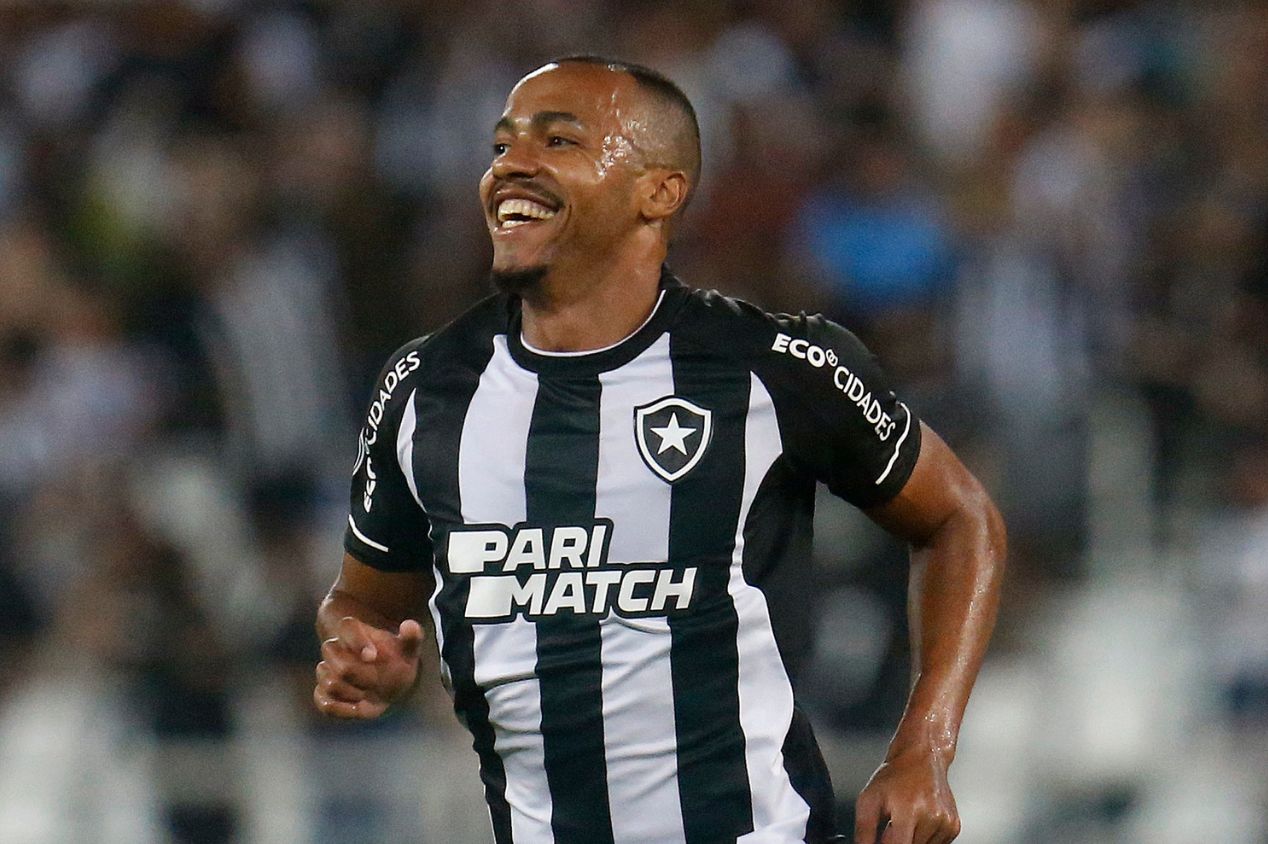 Botafogo é líder do Brasilerão