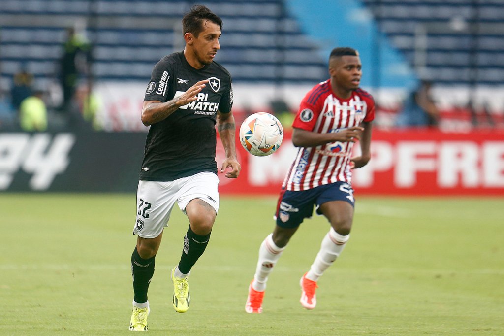 Botafogo avançou de fase na Libertadores