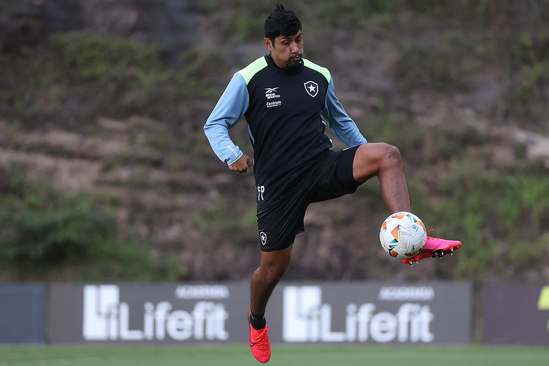 Segovia teve poucas oportunidades no Botafogo.