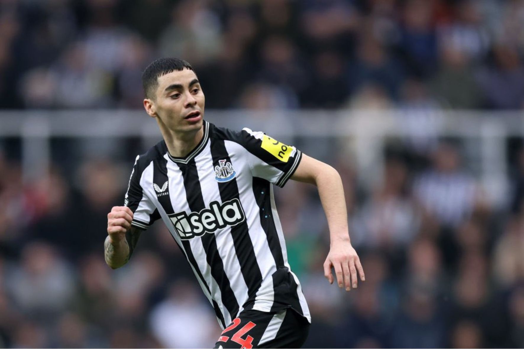 Miguel Almirón desperta o interesse do Botafogo para a temporada 2025