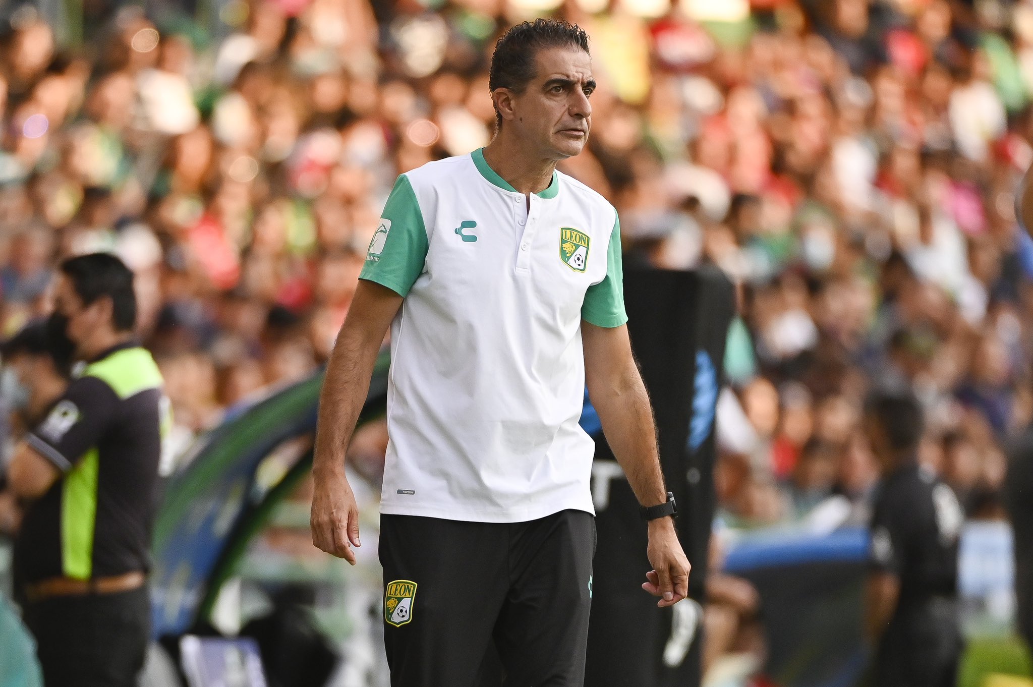 Renato Paiva é o novo treinador do Botafogo