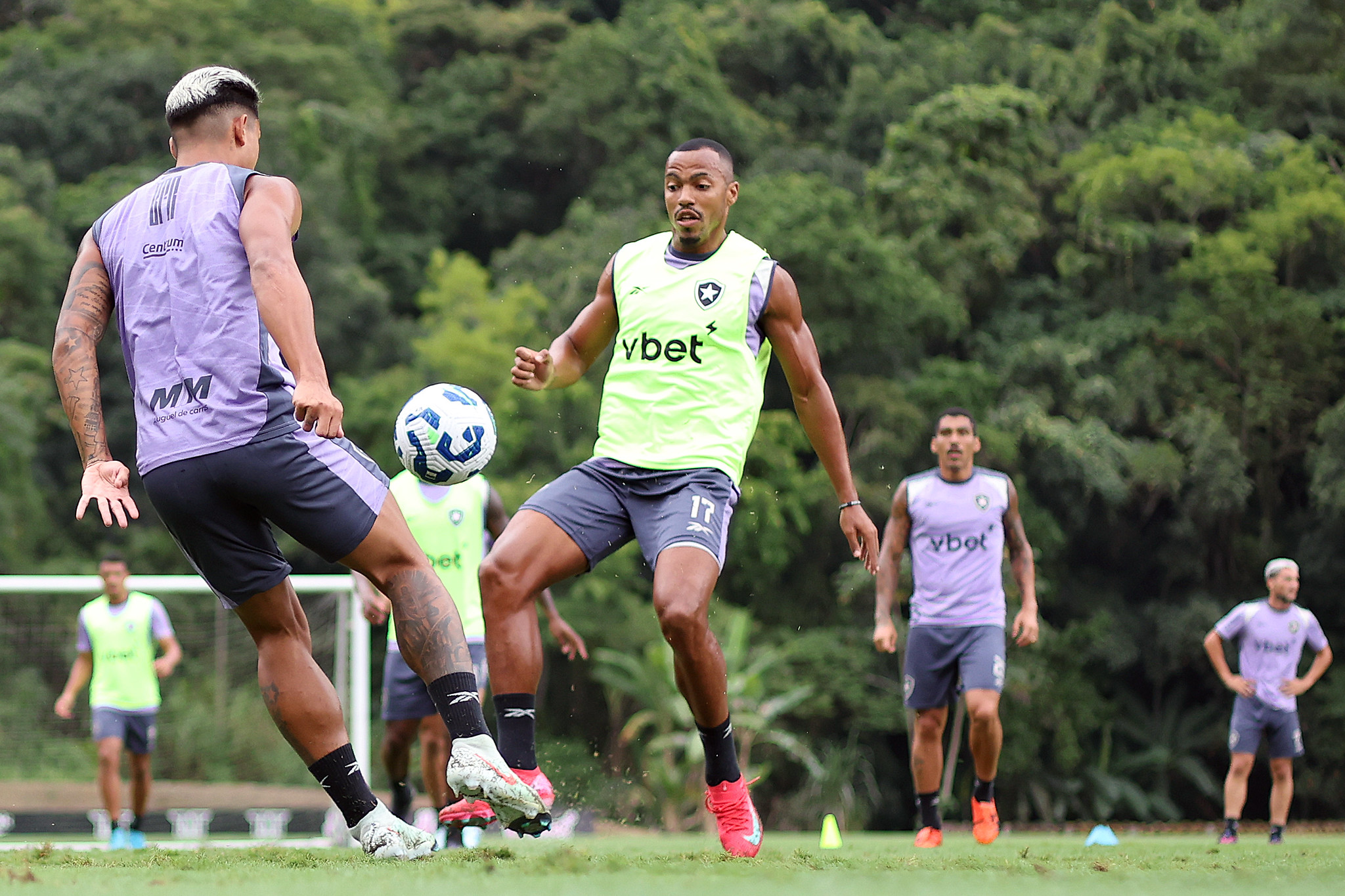 Botafogo vai ter intensa maratona de jogos