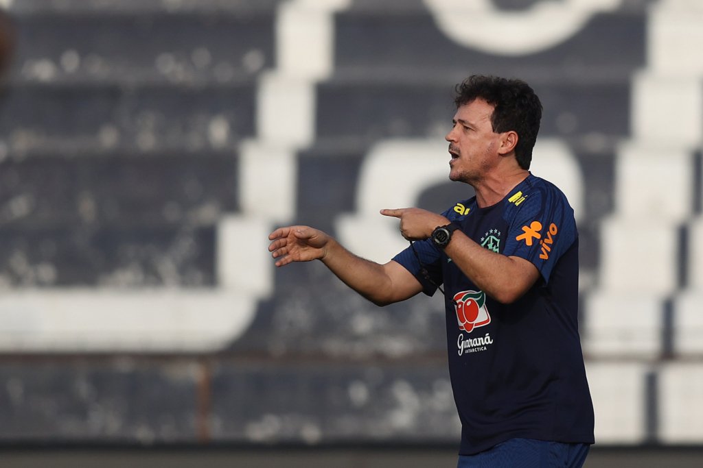 Fernando Diniz no comando da Seleção