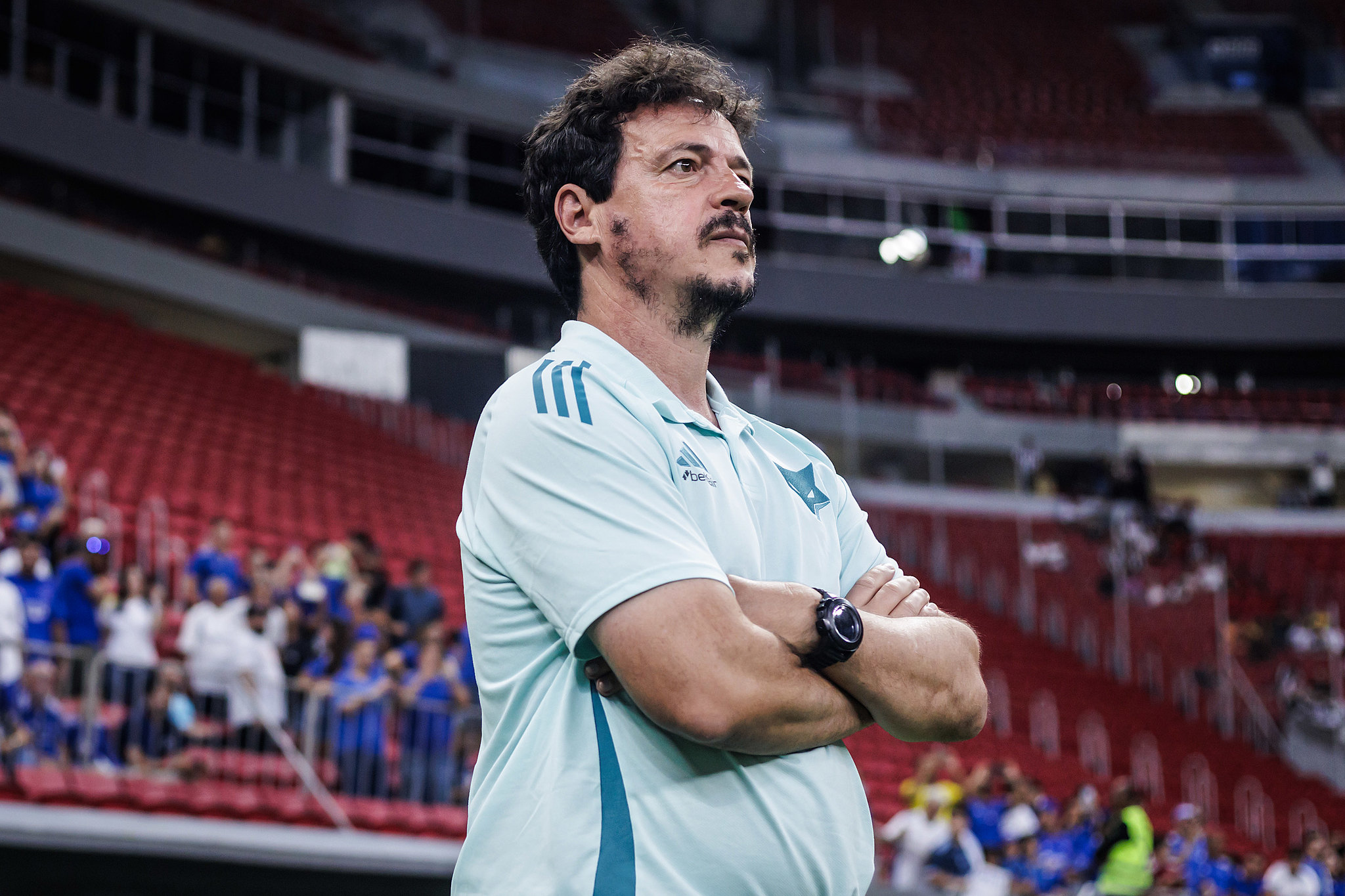 Fernando Diniz pode acertar com o Vasco