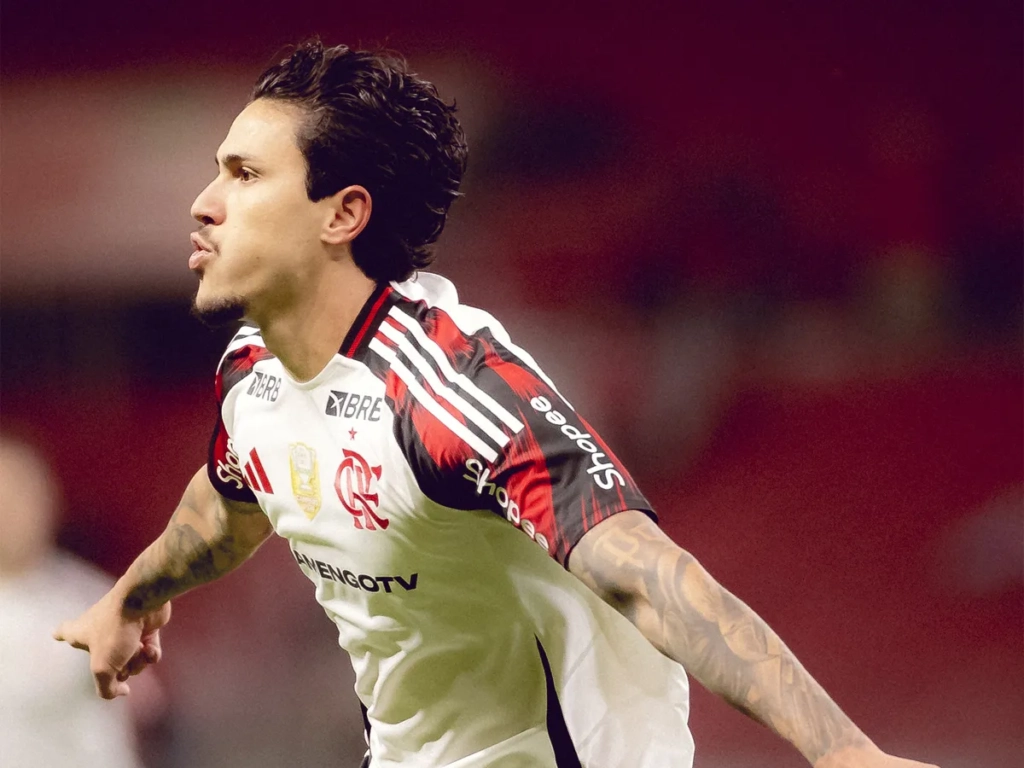 Pedro comemora gol do Flamengo