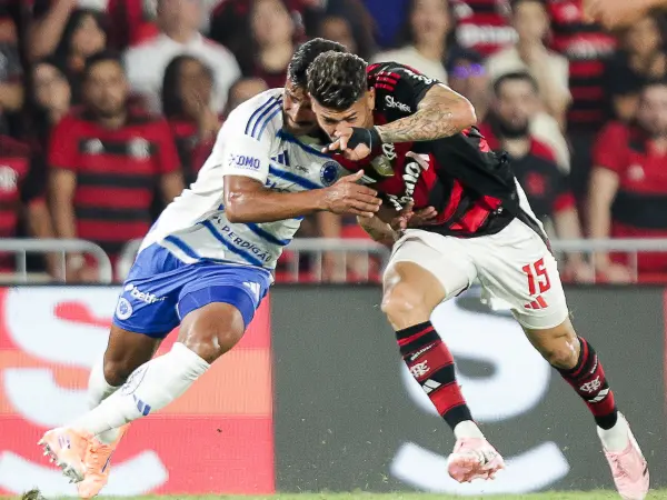 Flamengo e Cruzeiro