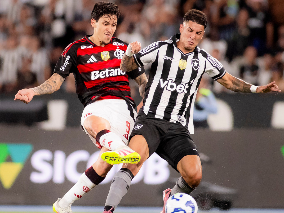 Pedro - Botafogo e Flamengo