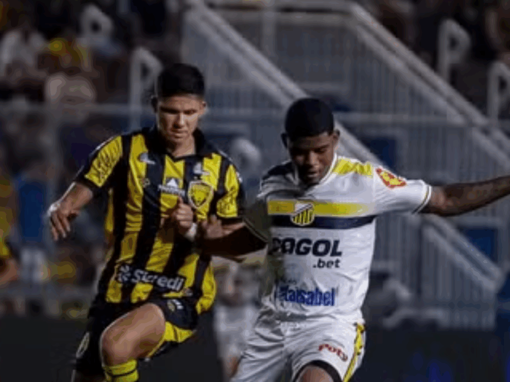 Amazonas e Novorizontino