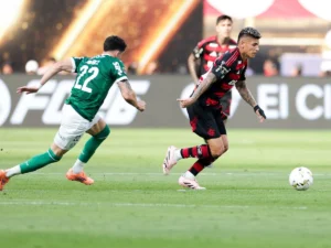 Palmeiras x Flamengo: saiba como foi a final pela Copa Libertadores