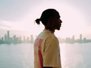 Lewis Hamilton - Ferrari