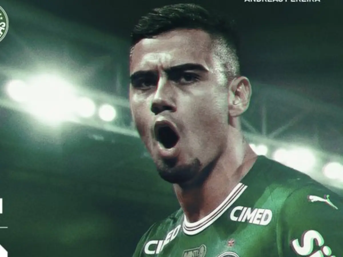 Palmeiras e Botafogo jogaram no Allianz Parque