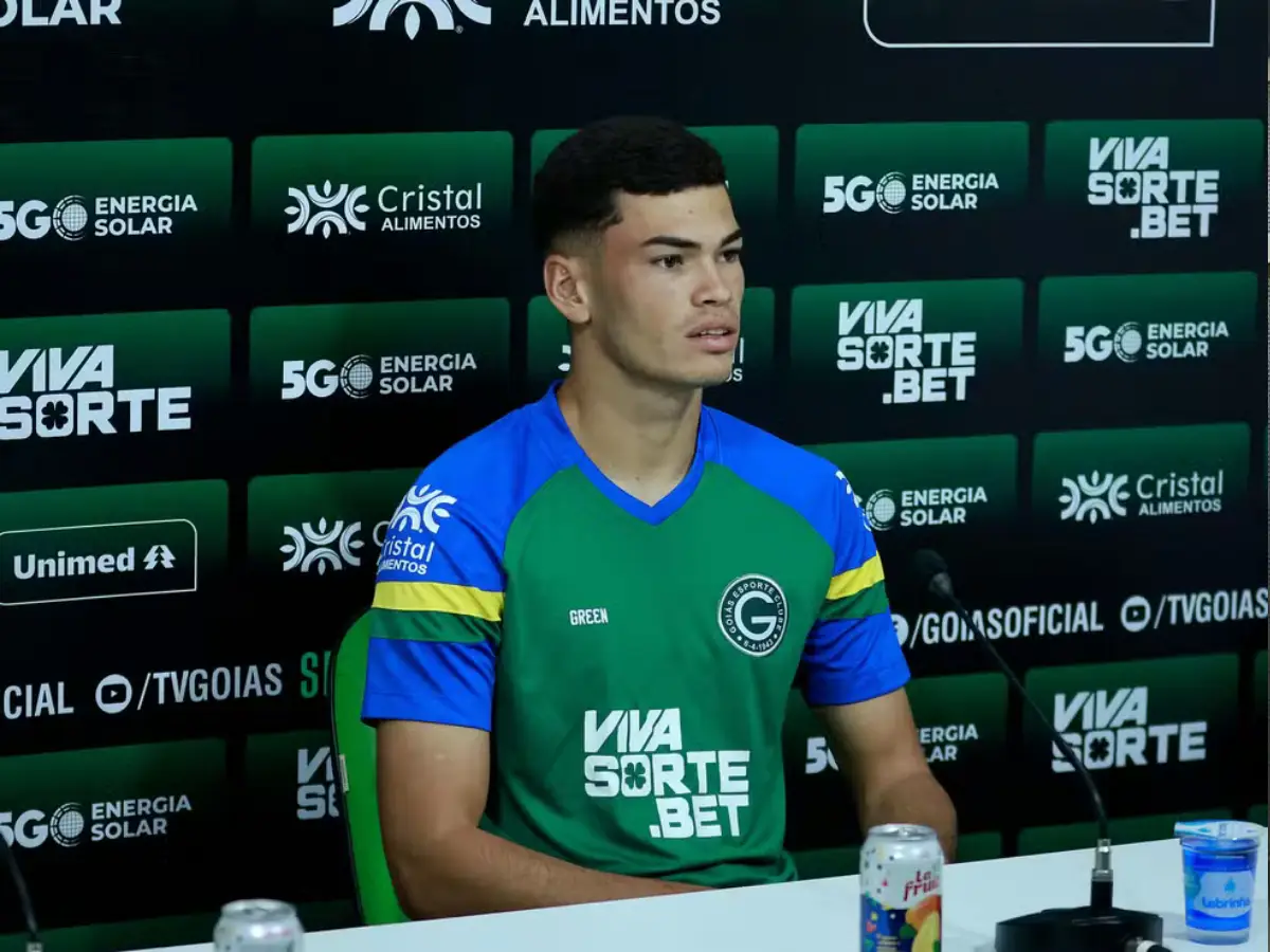 Botafogo define último alvo e encerra busca por reforços na janela doméstica
